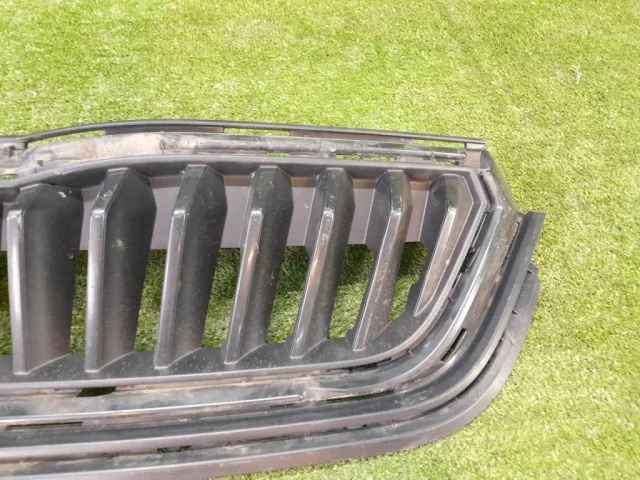 Решетка радиатора для Skoda Rapid II 2020+ на фотографиях