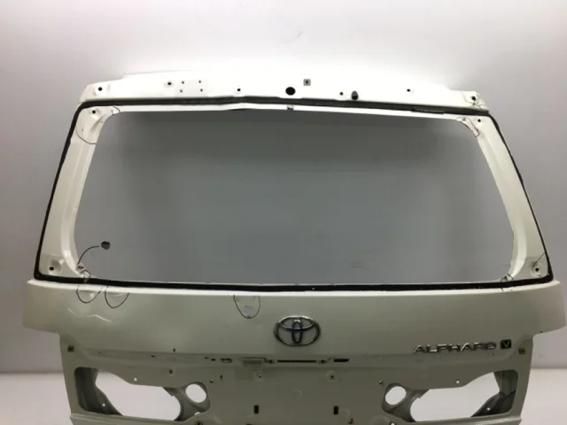 Двери для Toyota Alphard H10 2002-2008 на фотографиях