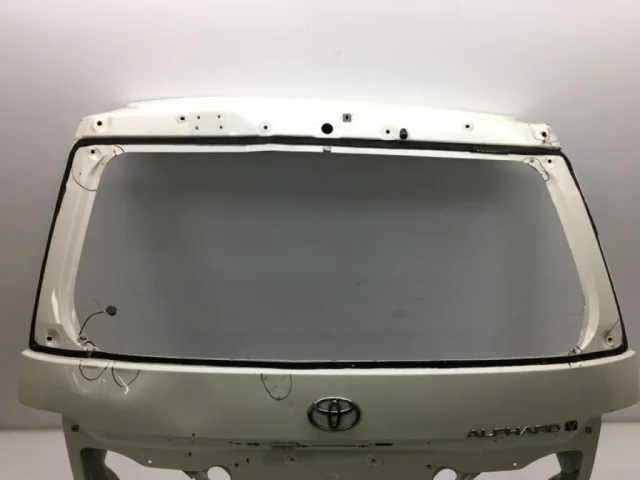 Двери для Toyota Alphard H10 2002-2008 на фотографиях