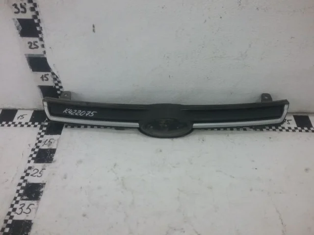 Решетка радиатора для Ford EcoSport 2012-2019 на фотографиях