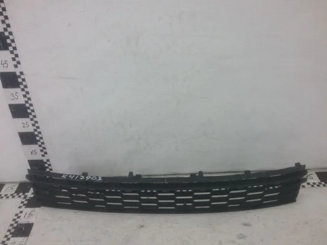 Решетка переднего бампера для Skoda Rapid I rest NH3 2017-2020 на фотографиях