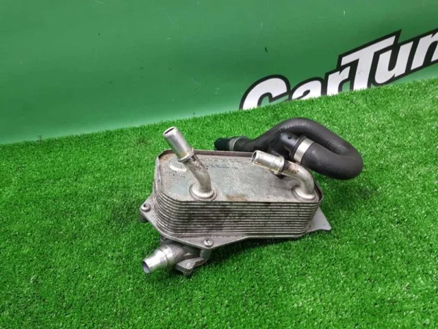 Панель радиатора (телевизор) для BMW 3er Е90 2005-2011 на фотографиях