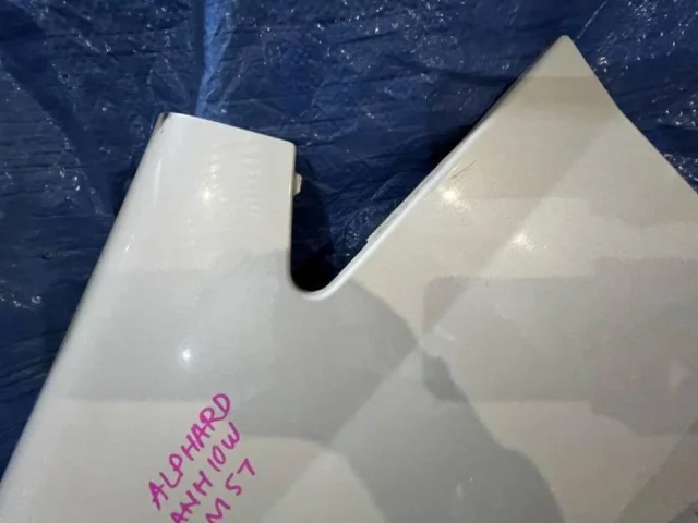 Крылья для Toyota Alphard H10 2002-2008 на фотографиях