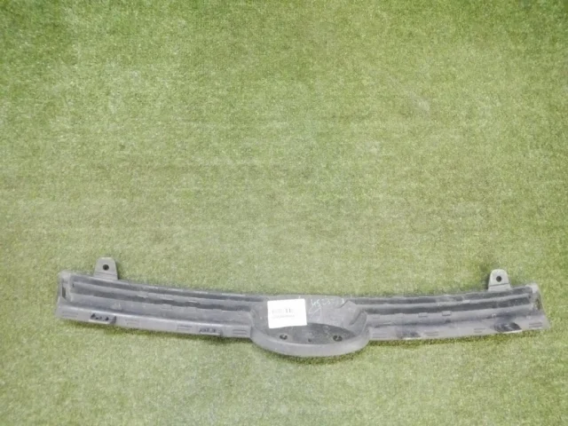 Решетка радиатора для Ford EcoSport 2012-2019 на фотографиях