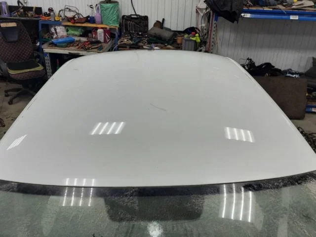 Крыша для Skoda Rapid I rest NH3 2017-2020 на фотографиях