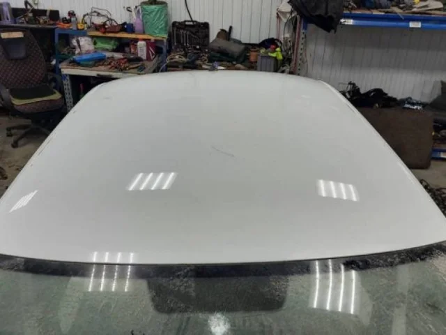 Крыша для Skoda Rapid I rest NH3 2017-2020 на фотографиях