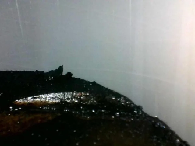 Продажа двигателя 112.911