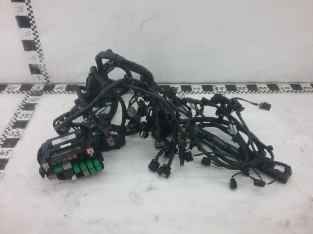 Проводка моторного отсека для Hyundai Solaris 1 рестайлинг 2014-2017 на фотографиях