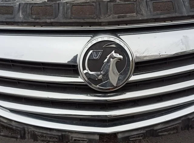 Решетка радиатора для Opel Insignia Хэтчбек A 2008-2017 на фотографиях