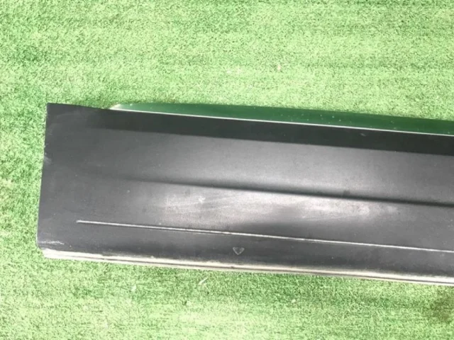 Молдинг двери задний правый для Volkswagen Tiguan I NF 2006-2017 на фотографиях