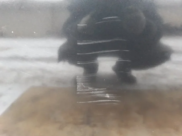 Дверь передняя левая для Volvo C30 MK 2006-2013 на фотографиях