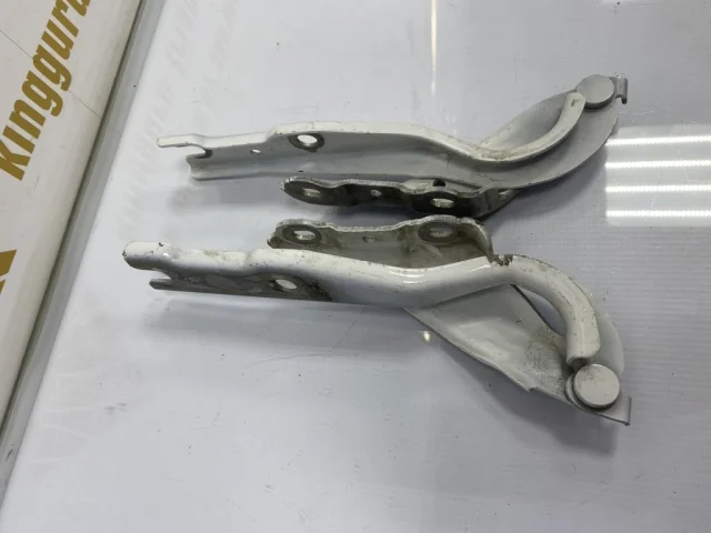 Петля капота левая для Skoda Rapid I rest NH3 2017-2020 на фотографиях