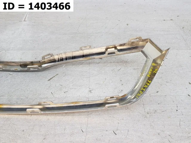 Молдинг решетки радиатора для Skoda Rapid II 2020+ на фотографиях