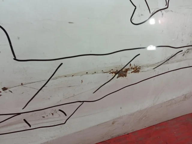 Дверь передняя левая для Kia Cerato TD 2009-2013 на фотографиях