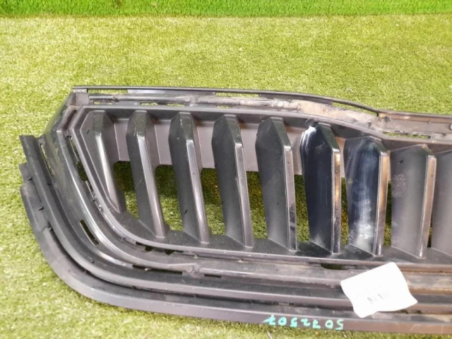 Решетка радиатора для Skoda Rapid II 2020+ на фотографиях