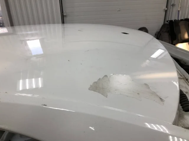 Крыша для Skoda Rapid I rest NH3 2017-2020 на фотографиях