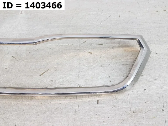 Молдинг решетки радиатора для Skoda Rapid II 2020+ на фотографиях