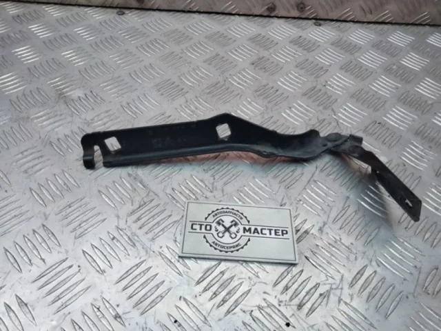 Петля капота правая для Citroen Berlingo 2 B9 Минивэн 2008-2016 на фотографиях