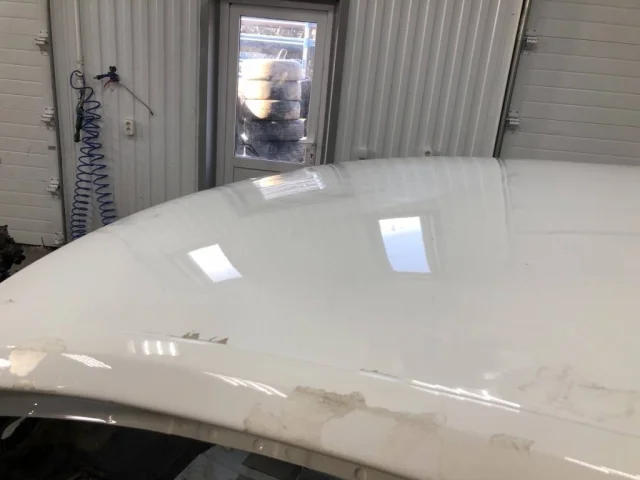 Крыша для Skoda Rapid I rest NH3 2017-2020 на фотографиях