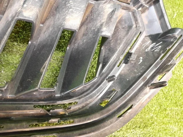 Решетка радиатора для Skoda Rapid II 2020+ на фотографиях