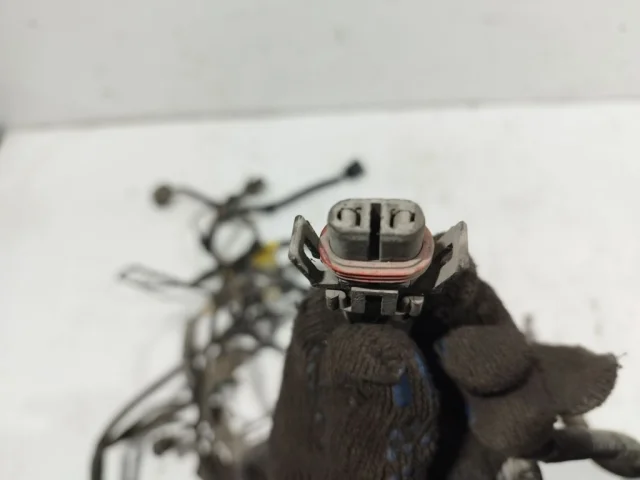 Проводка моторного отсека для Chevrolet Cruze 1 J300 2009-2015 на фотографиях