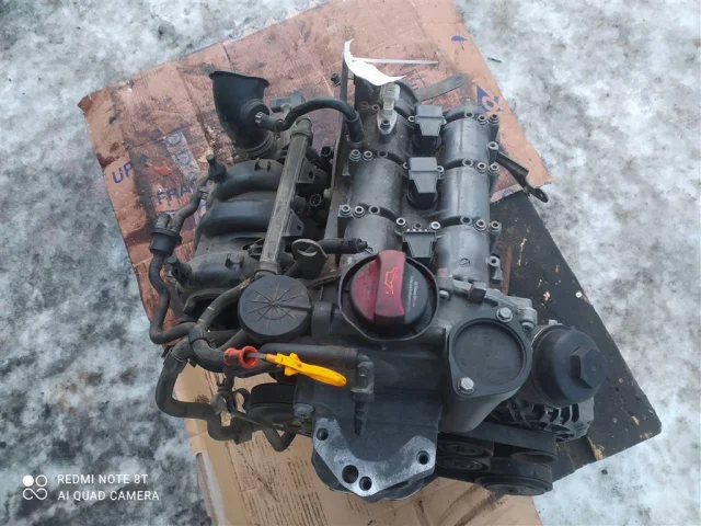 Двигатель без навесного для Volkswagen Polo IV (9N3) 2005-2009 на фотографиях