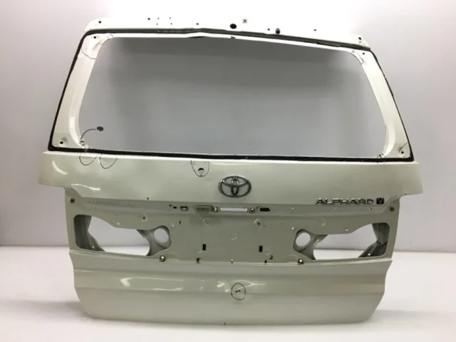 Двери для Toyota Alphard H10 2002-2008 на фотографиях