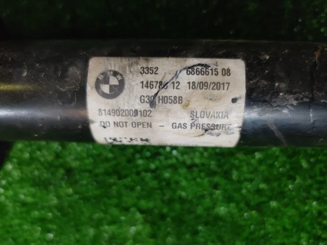 Амортизатор задний левый для BMW 5er G30 2016-2023 на фотографиях