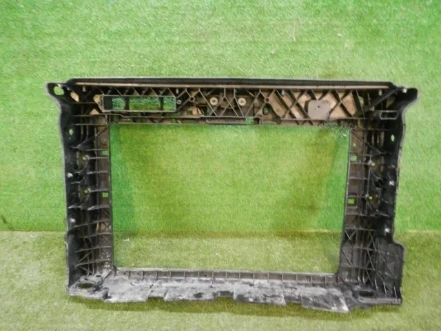 Панель радиатора (телевизор) для Skoda Rapid II 2020+ на фотографиях