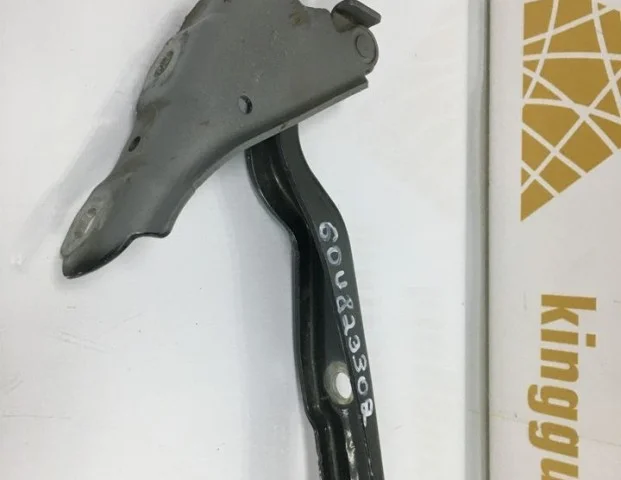 Петля капота правая для Skoda Rapid II 2020+ на фотографиях