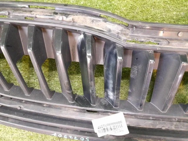 Решетка радиатора для Skoda Rapid II 2020+ на фотографиях