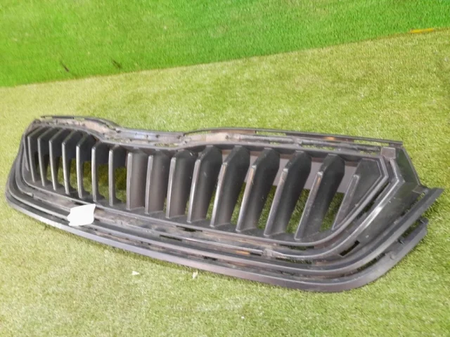 Решетка радиатора для Skoda Rapid II 2020+ на фотографиях