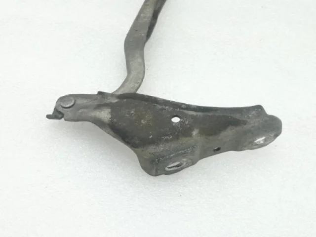 Петля капота левая для Skoda Rapid I rest NH3 2017-2020 на фотографиях