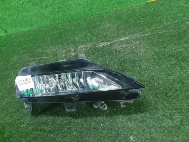 Противотуманка (ПТФ) передняя правая для Skoda Rapid II 2020+ на фотографиях