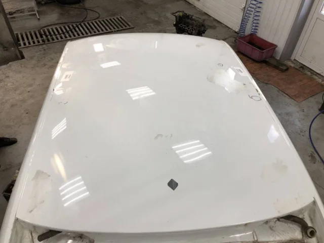 Крыша для Skoda Rapid I rest NH3 2017-2020 на фотографиях