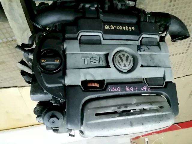 Продажа двигателя BLG