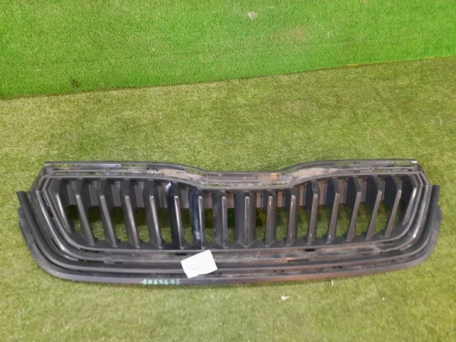 Решетка радиатора для Skoda Rapid II 2020+ на фотографиях