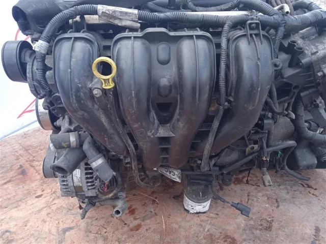 Продажа двигателя QQDB