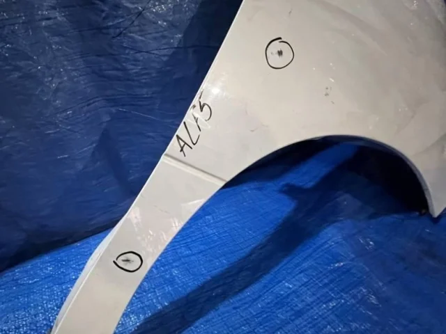 Крылья для Toyota Alphard H10 2002-2008 на фотографиях