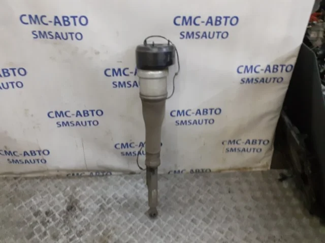 Пневмостойка задняя левая для Mercedes-Benz S class W221 2005-2013 на фотографиях