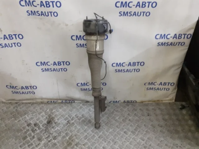 Пневмостойка задняя левая для Mercedes-Benz S class W221 2005-2013 на фотографиях