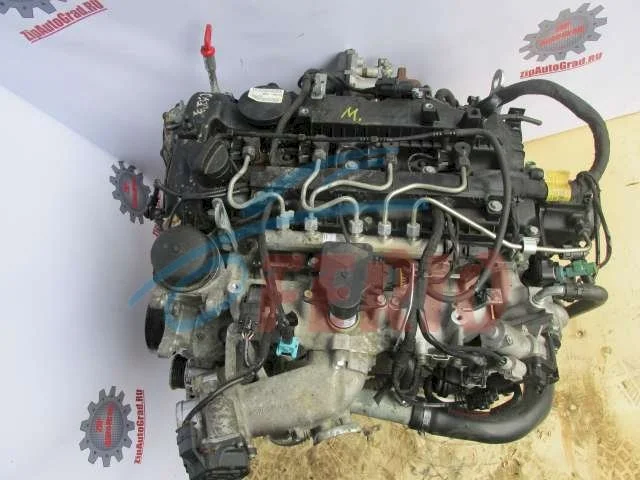 Продажа двигателя D20DTR