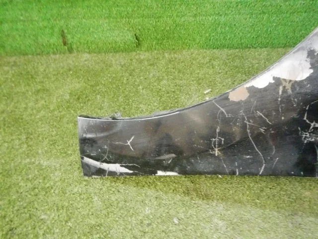 Крылья для Hyundai Elantra AD 2015-2019 на фотографиях