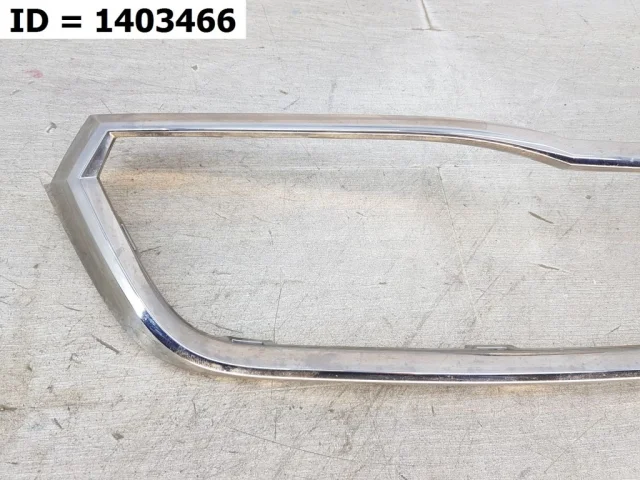 Молдинг решетки радиатора для Skoda Rapid II 2020+ на фотографиях