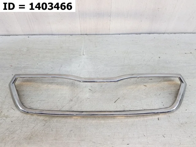 Молдинг решетки радиатора для Skoda Rapid II 2020+ на фотографиях