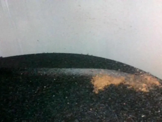 Продажа двигателя 113.964