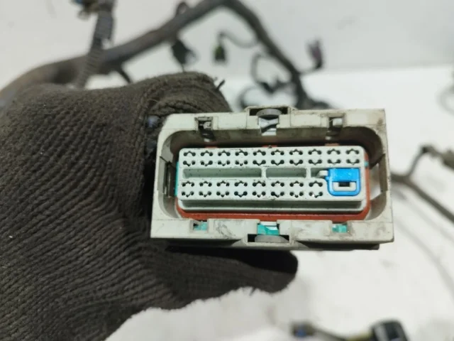 Проводка моторного отсека для Chevrolet Cruze 1 J300 2009-2015 на фотографиях