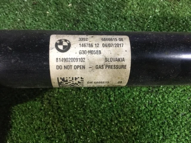 Амортизаторы задние (комплект) для BMW 5er G30 2016-2023 на фотографиях