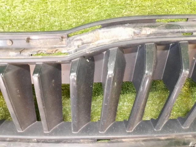 Решетка радиатора для Skoda Rapid II 2020+ на фотографиях