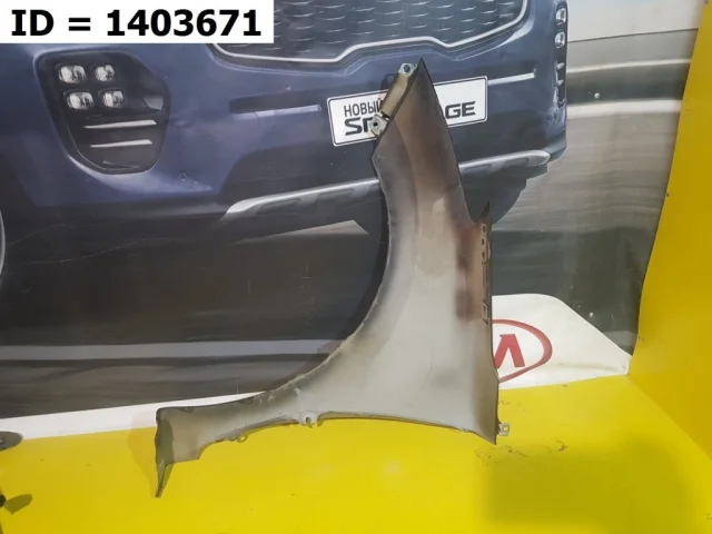 Крыло правое для Hyundai Elantra AD 2015-2019 на фотографиях